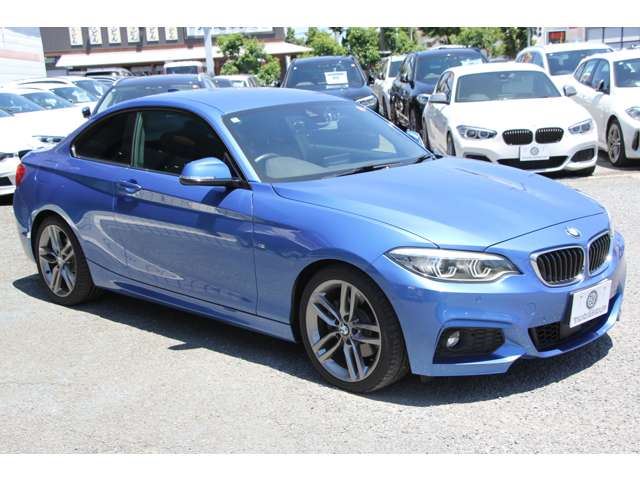 2017 BMW 2 SERIES COUPE — миниатюра 25