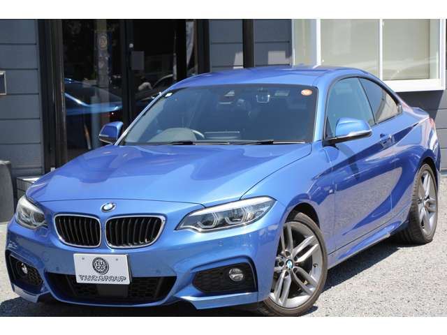 2017 BMW 2 SERIES COUPE — миниатюра 28
