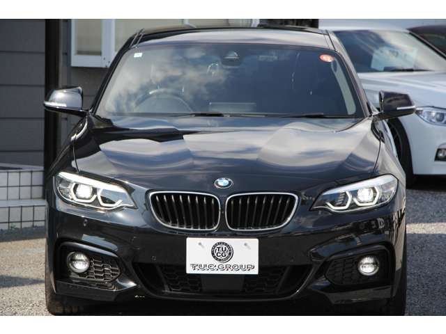 2018 BMW 2 SERIES COUPE — миниатюра 22