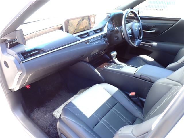 2019 Lexus ES thumbnail 15