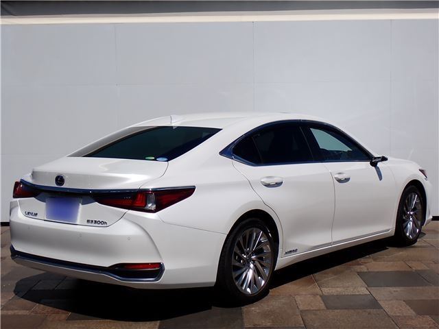 2019 Lexus ES photo 2