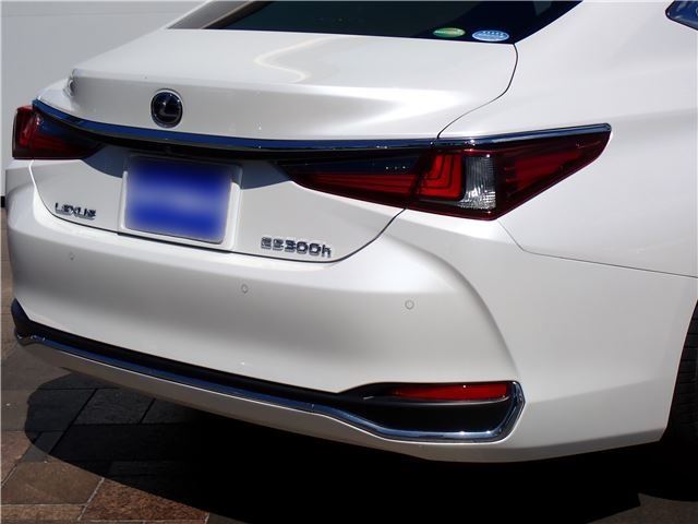 2019 Lexus ES photo 9