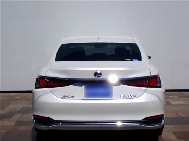 2019 Lexus ES photo 6