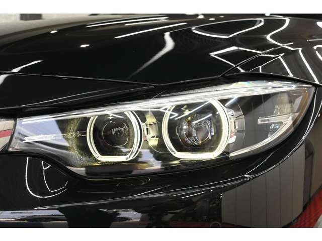 2019 BMW 4 SERIES GRAN COUPE — миниатюра 20