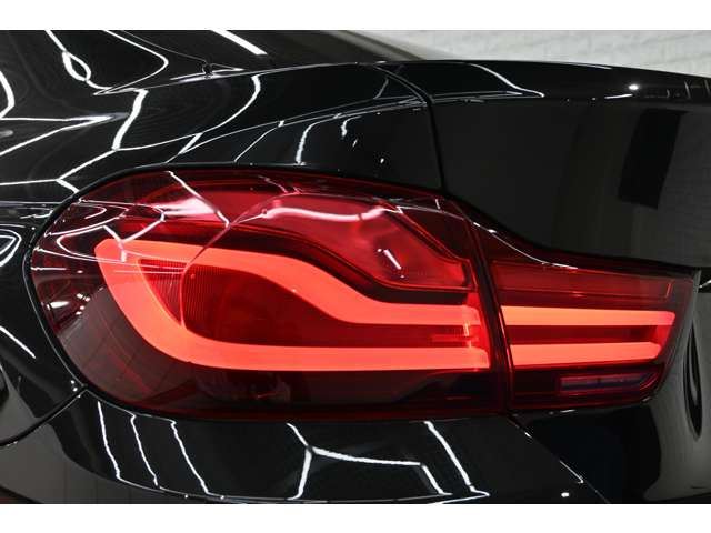 2019 BMW 4 SERIES GRAN COUPE — миниатюра 39