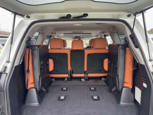 2016 Lexus LX 缩略图 50