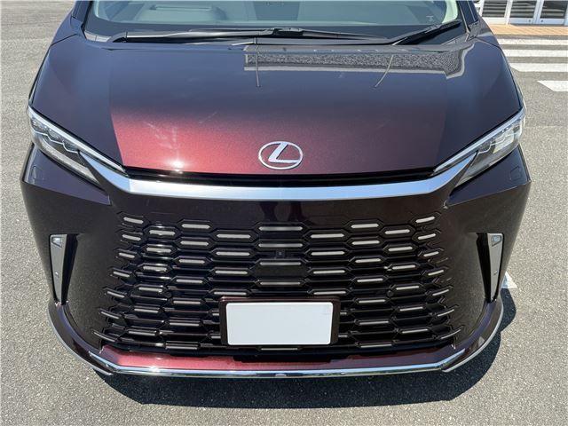 2025 Lexus LM thumbnail 12