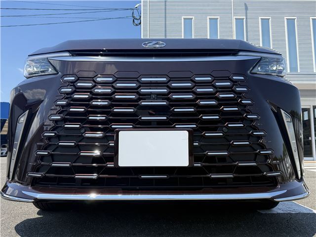 2025 Lexus LM thumbnail 15