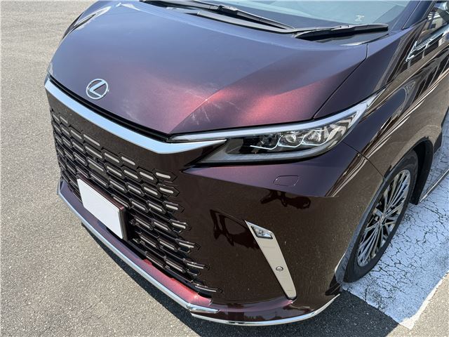 2025 Lexus LM thumbnail 13