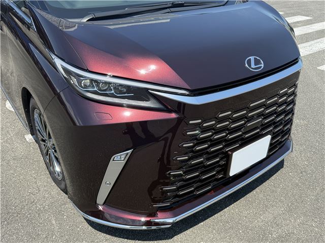 2025 Lexus LM thumbnail 11
