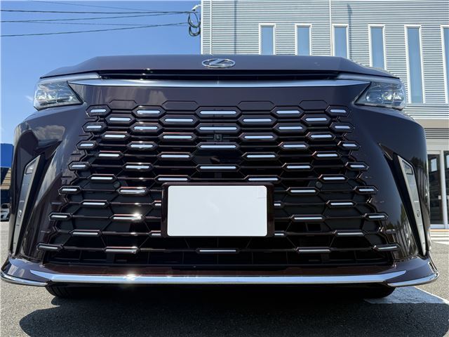 2025 Lexus LM thumbnail 16