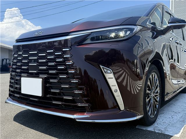 2025 Lexus LM thumbnail 17