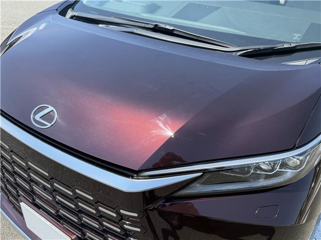 2025 Lexus LM thumbnail 18