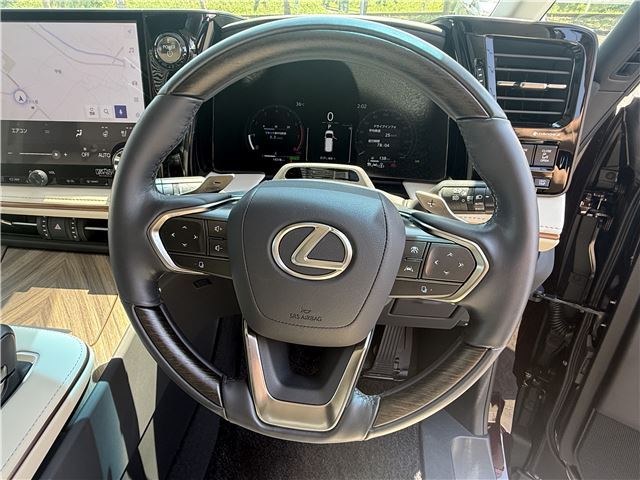 2025 Lexus LM thumbnail 37