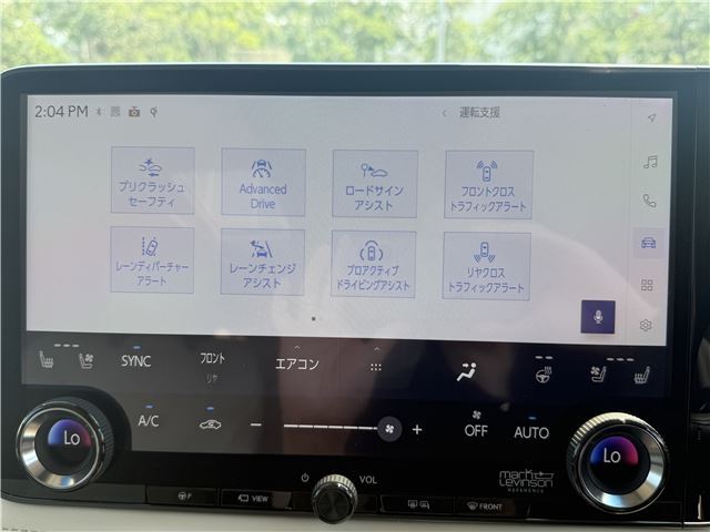 2025 Lexus LM thumbnail 45