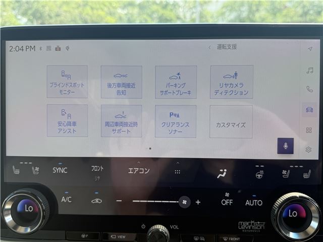 2025 Lexus LM thumbnail 46
