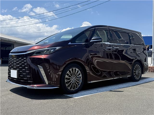 2025 Lexus LM photo 5