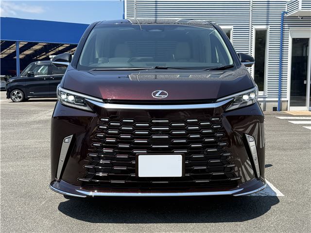 2025 Lexus LM photo 4