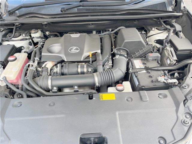 2014 Lexus NX 缩略图 13