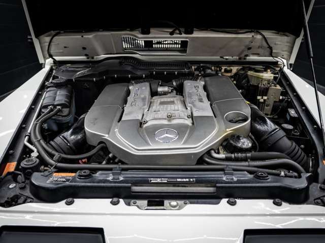 صورة مصغرة 20 لـ 2009 Mercedes-BENZ G-CLASS AMG