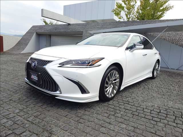 2019 Lexus ES photo 1