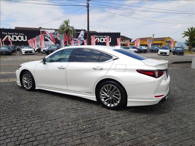 2019 Lexus ES photo 2