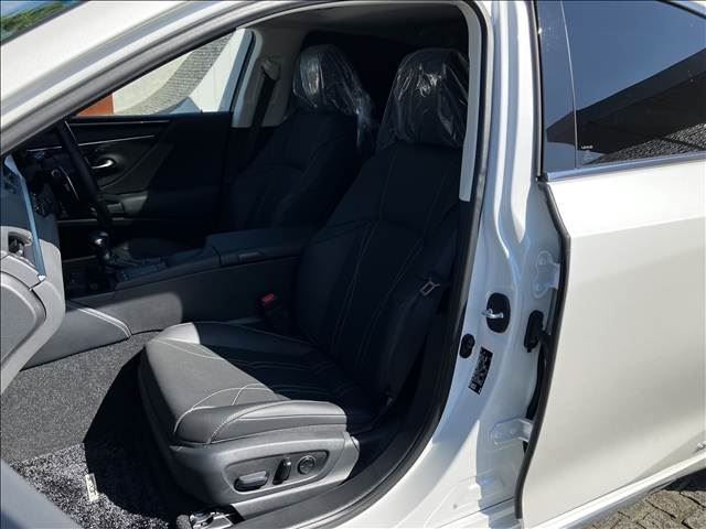 2019 Lexus ES 缩略图 16