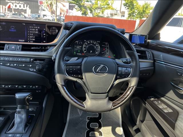 2019 Lexus ES photo 10