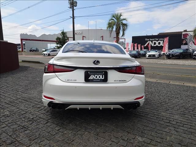 2019 Lexus ES photo 9