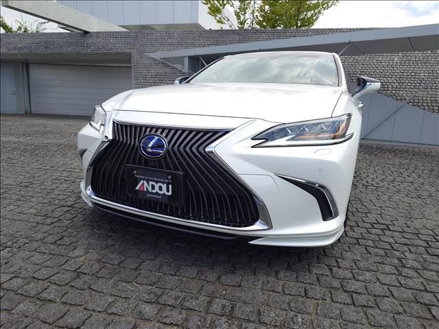 2019 Lexus ES photo 8
