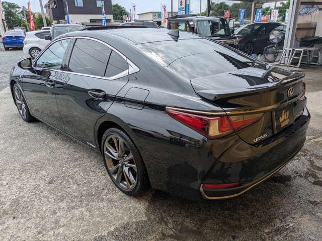 2019 Lexus ES thumbnail 12