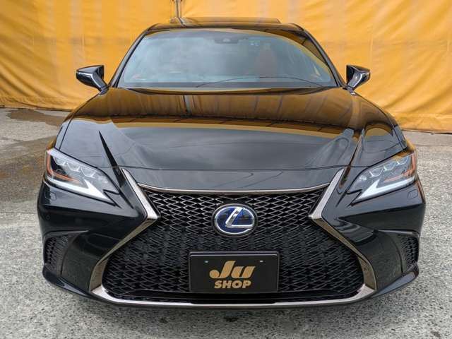 2019 Lexus ES photo 2