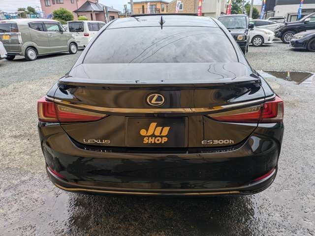 2019 Lexus ES thumbnail 11