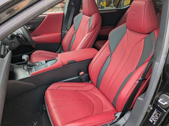 2019 Lexus ES thumbnail 33