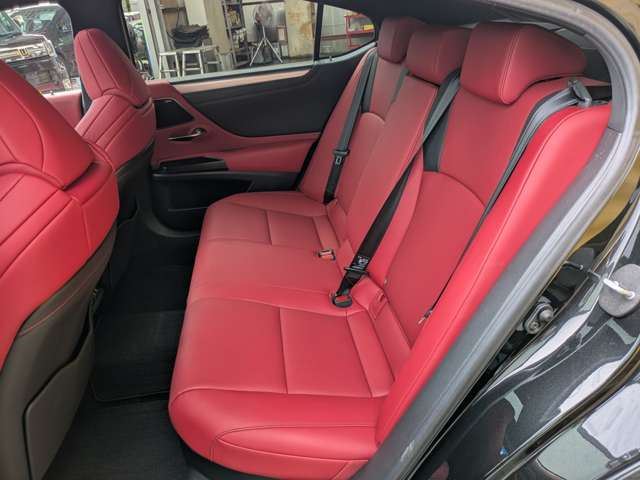 2019 Lexus ES thumbnail 41