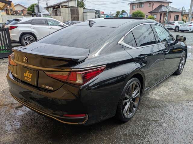 2019 Lexus ES photo 10