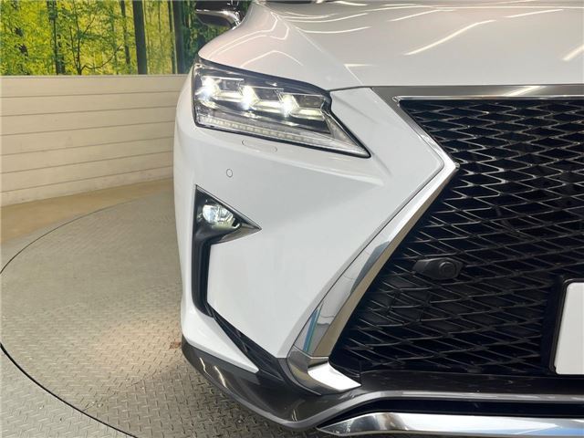 2017 Lexus RX 缩略图 11