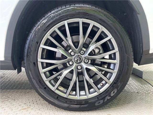 2017 Lexus RX 缩略图 21
