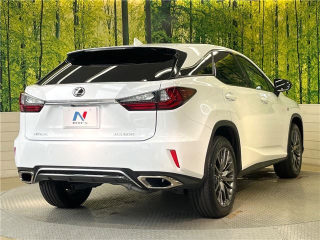 2017 Lexus RX 缩略图 28