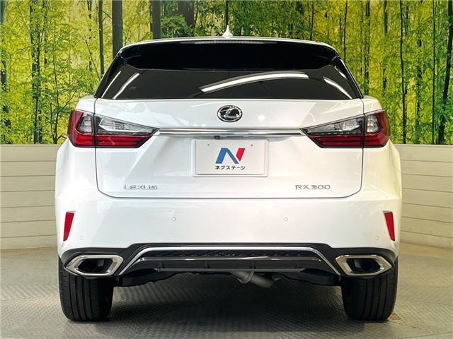 2017 Lexus RX 缩略图 29