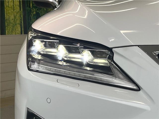 صورة 9 لـ 2017 Lexus RX