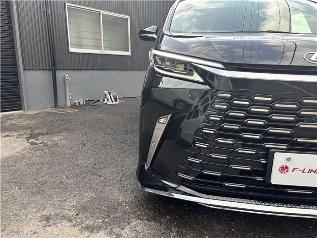 2024 Lexus LM 照片 4