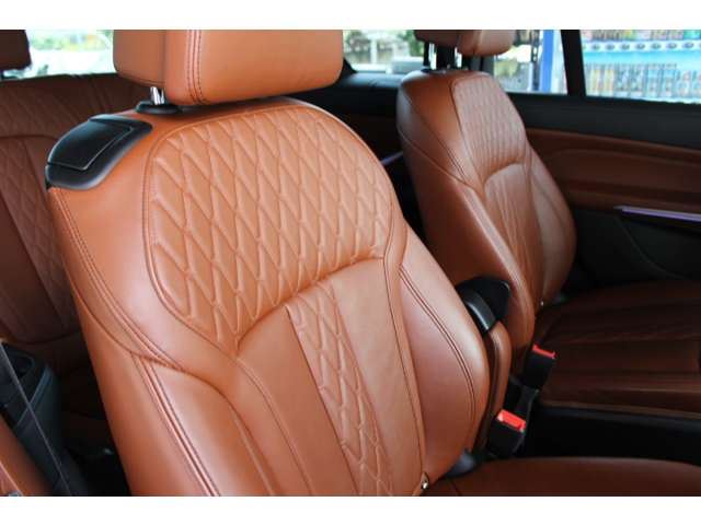 2020 BMW X7 缩略图 18