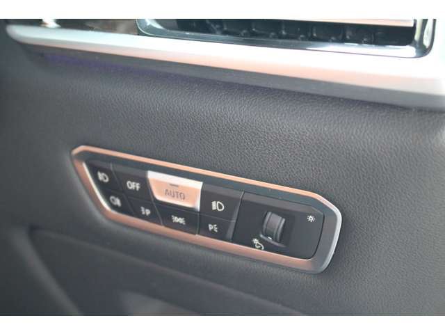 2020 BMW X7 缩略图 42