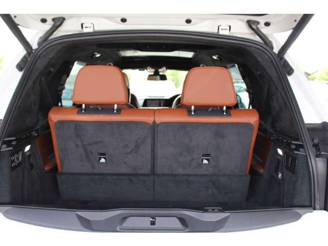 2020 BMW X7 缩略图 48