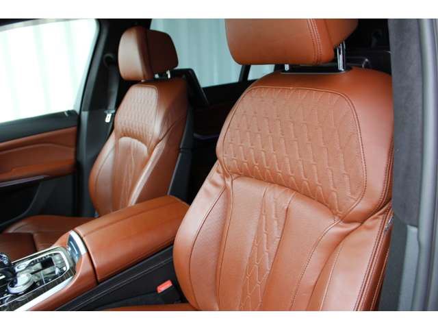 2020 BMW X7 缩略图 50