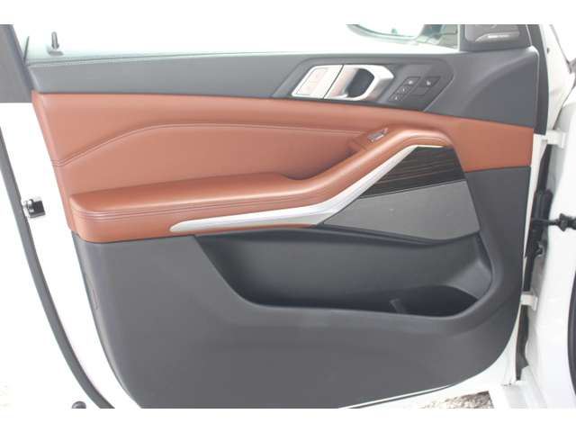 2020 BMW X7 缩略图 51