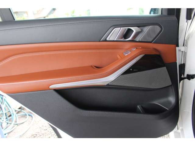 2020 BMW X7 缩略图 55