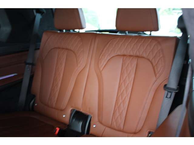2020 BMW X7 缩略图 57