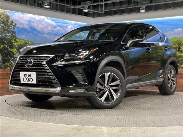 صورة 1 لـ 2019 Lexus NX